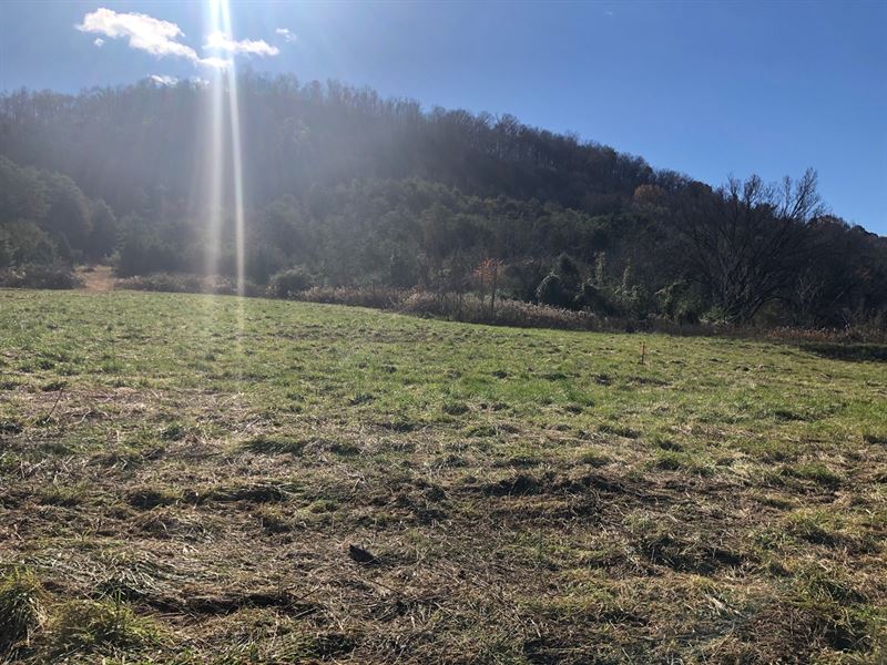 1.27 Acres Unrestricted Land : Rogersville : Hawkins County : Tennessee