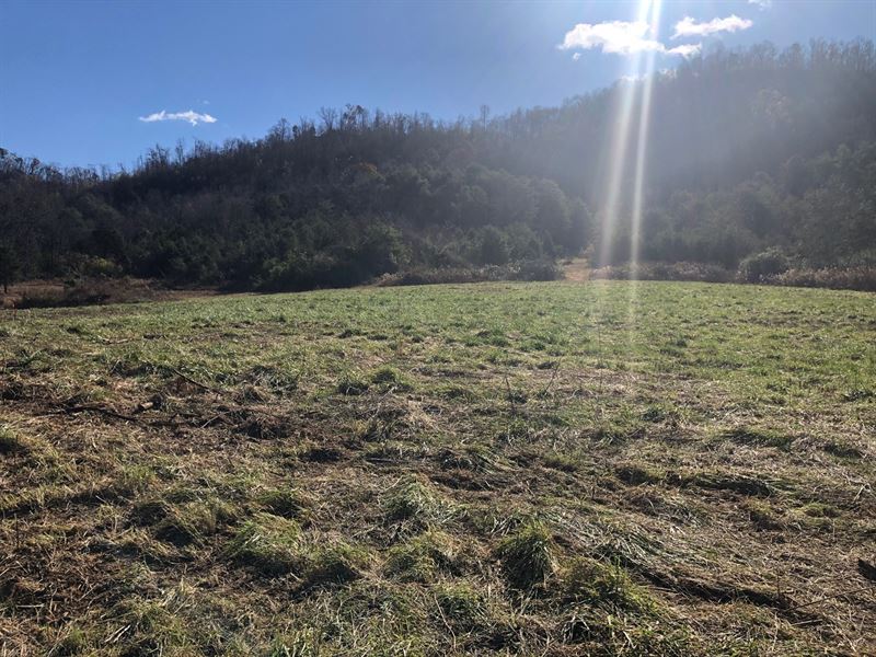 2.53 Acres Unrestricted Land : Rogersville : Hawkins County : Tennessee