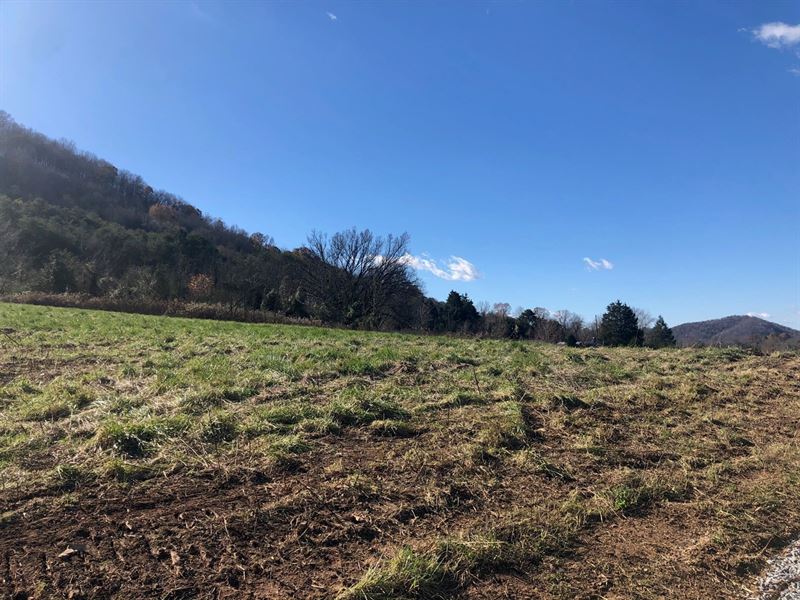 3.14 Acres Unrestricted Land East : Rogersville : Hawkins County : Tennessee