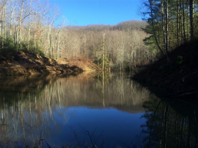 Large Scenic Acreage Southwest : Duffield : Scott County : Virginia
