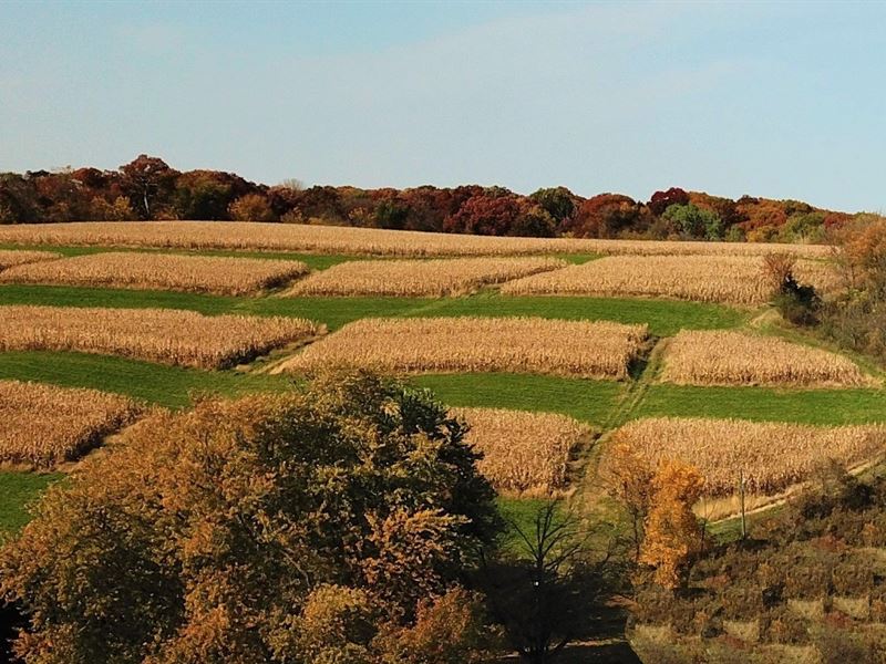 23 Acres Fillmore County, MN : Preston : Fillmore County : Minnesota