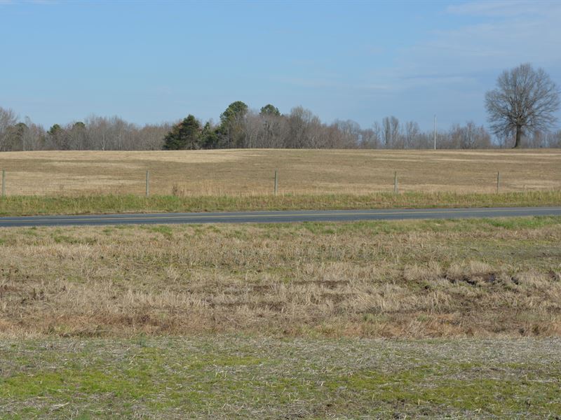 Southern Alamance Country Living Land for Sale in Liberty, Alamance