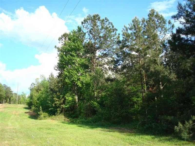 26.72 Acres, Tract 117, Mini : Brandon : Rankin County : Mississippi