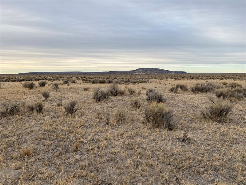 40 Acres Bareland South Burns Or : Burns : Harney County : Oregon