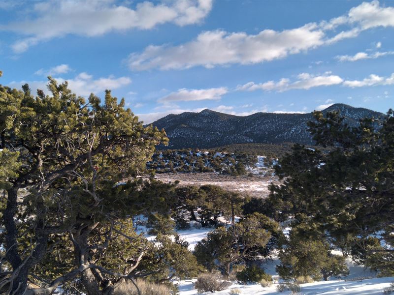Amazing Mountain and Valley Views : Fort Garland : Costilla County : Colorado
