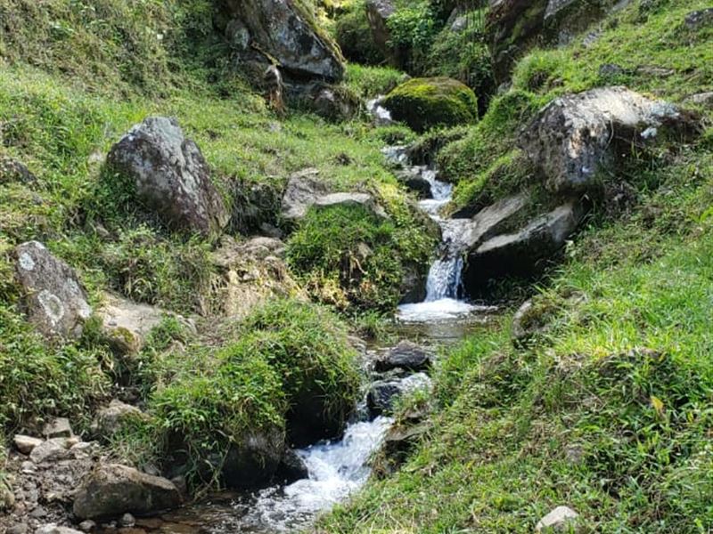 2.47 Acre Mountain Minifarm, River : Cachi : Costa Rica