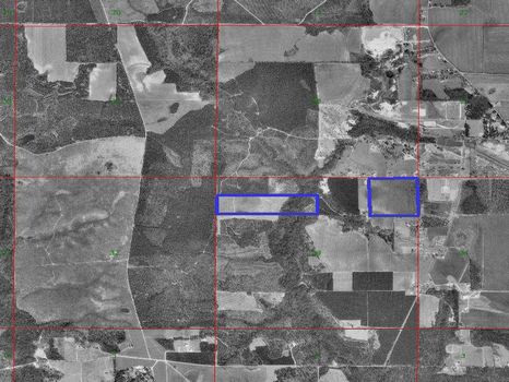 80 Dividable acres near Atmore : Atmore : Escambia County : Alabama