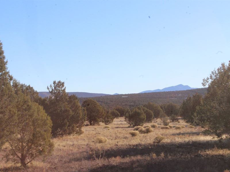 Small Acreage Borders Public Land 2 Land for Sale in Williams