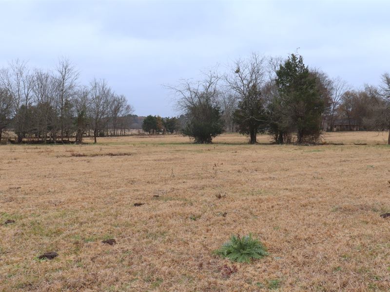 East Texas Acreage, Quitman, TX Land for Sale in Quitman, Wood County