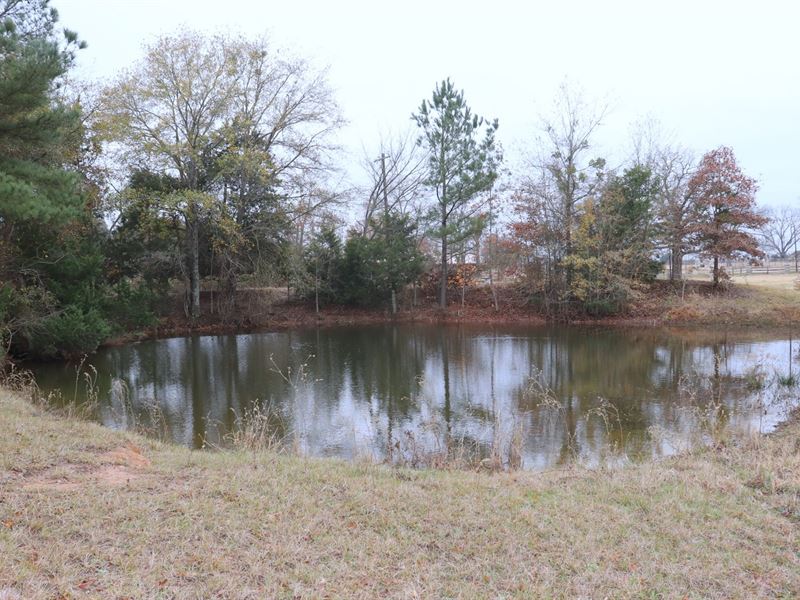 East Texas Acreage, Quitman, TX Land for Sale in Quitman, Wood County