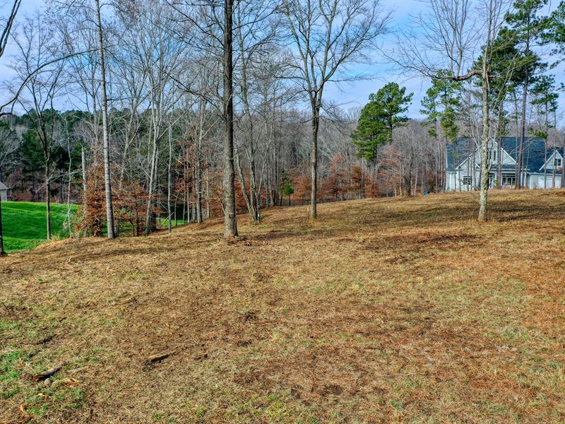 Waterfront Lot, Reedy Creek : Huntingdon : Carroll County : Tennessee