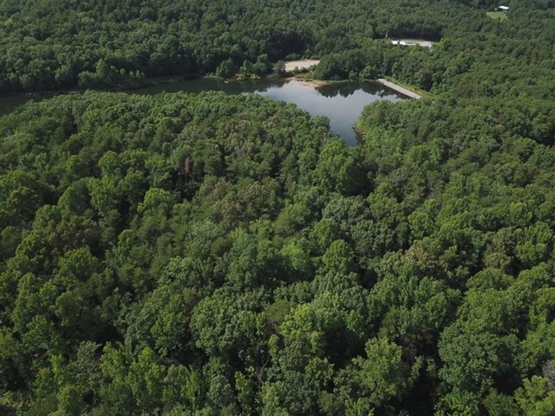 50.4 +/- Ac Unrestricted Lakefront : Spencer : Van Buren County : Tennessee
