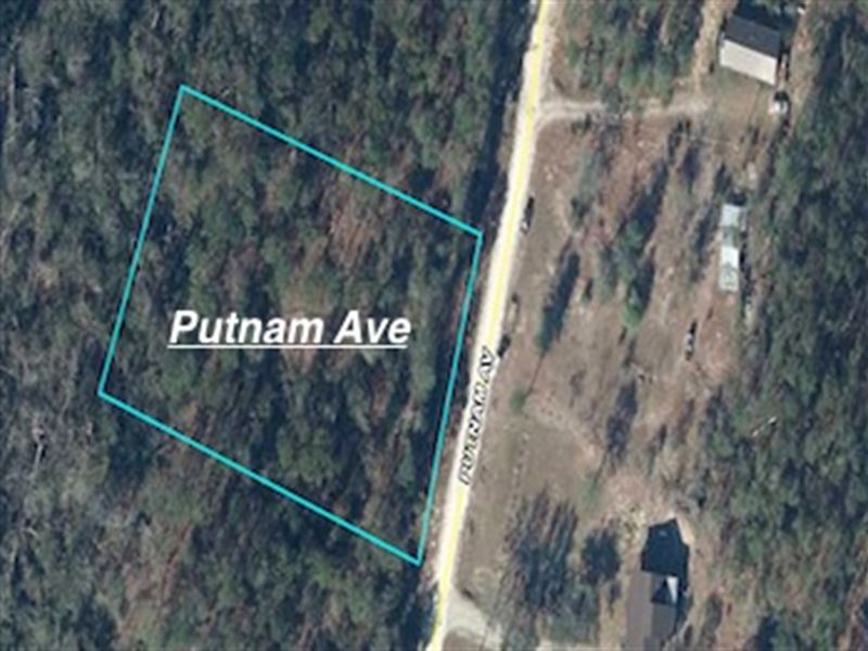 1.22 Acres Compass Lake Hills : Alford : Jackson County : Florida