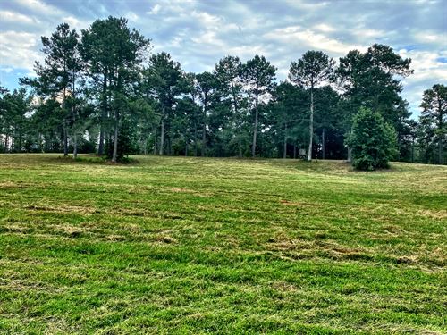 georgia timber land for sale