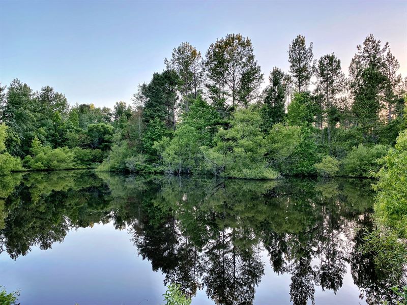 38 Acre Tract with Beautiful Pond : Bolingbroke : Forsyth County : Georgia