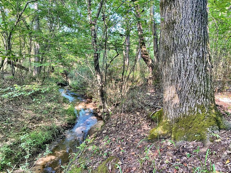 27 Acre Tract with Road Frontage : Bolingbroke : Forsyth County : Georgia