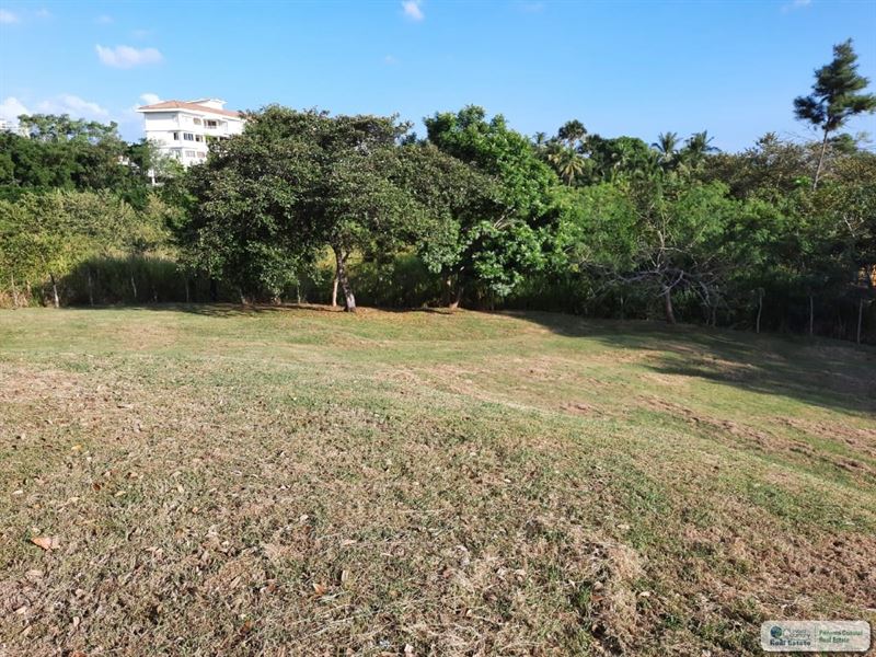 Beach Lot in New Gorgona Panama : Panama