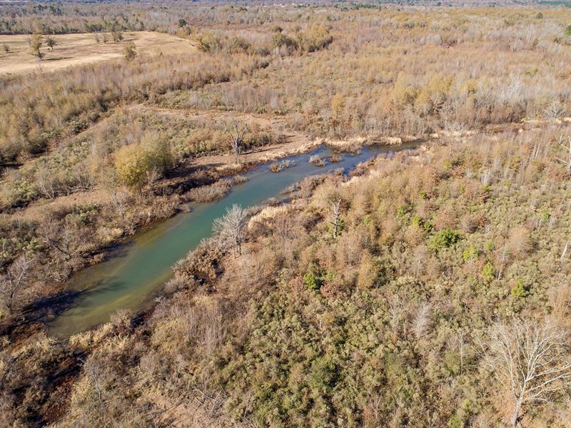 TX Deer Duck Hog Hunting Land Rusk : Henderson : Rusk County : Texas