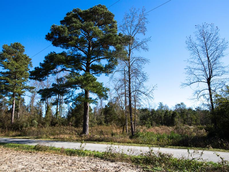 4 Acres on Sam Miller Rd : Warsaw : Duplin County : North Carolina