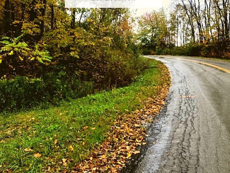 .97 Acres Only $ 1Dn, $299/Mo : Gowanda : Erie County : New York