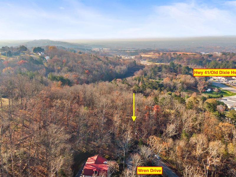 State Line Buildable Lot : Ringgold : Catoosa County : Georgia