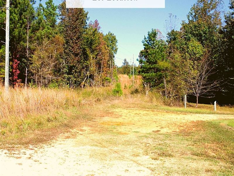 2 Acres Only $1Dn, $299/Mo : Batesville : Panola County : Mississippi