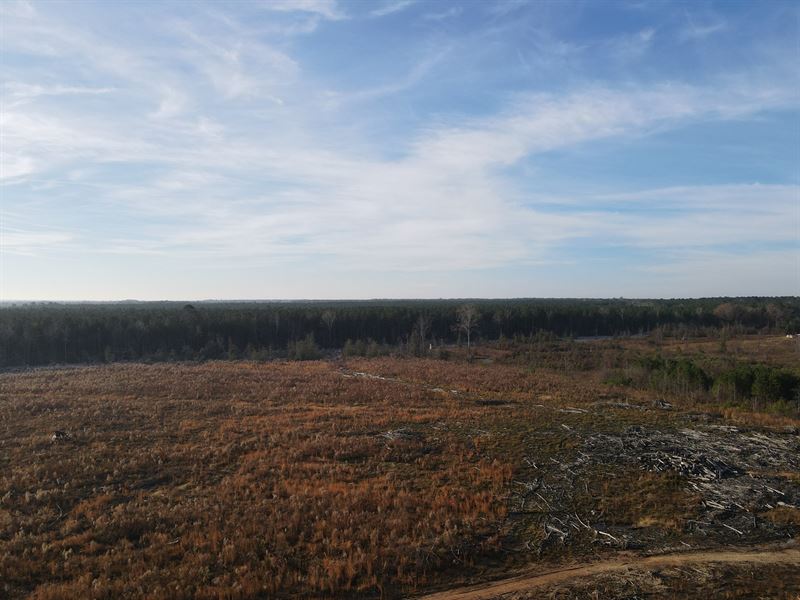 Hunting Land Grant County, Arkansas : Grapevine : Grant County : Arkansas