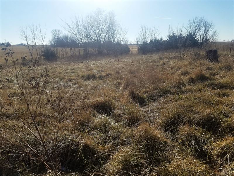 Small Acreage for Sale : Princeton : Mercer County : Missouri