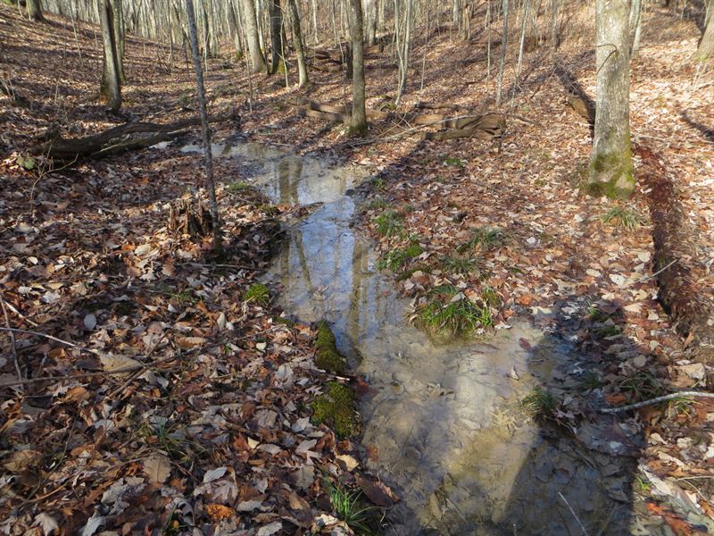Seasonal Creek, Building Spots : Spencer : Van Buren County : Tennessee