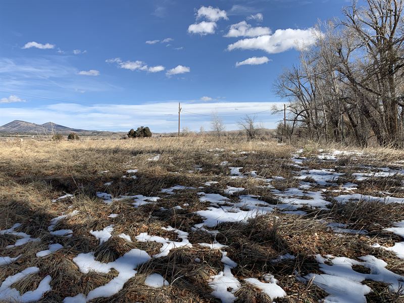 Ntl Forest & Blm Land Minutes Away : South Fork : Rio Grande County : Colorado