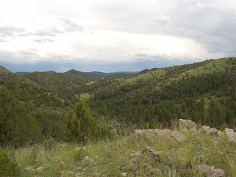 Mountain Living 35 Acres $89,900 : Guffey : Fremont County : Colorado