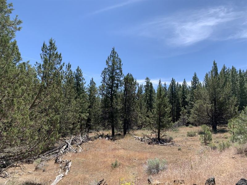1.54 Ac in Klamath County, Oregon : Beatty : Klamath County : Oregon