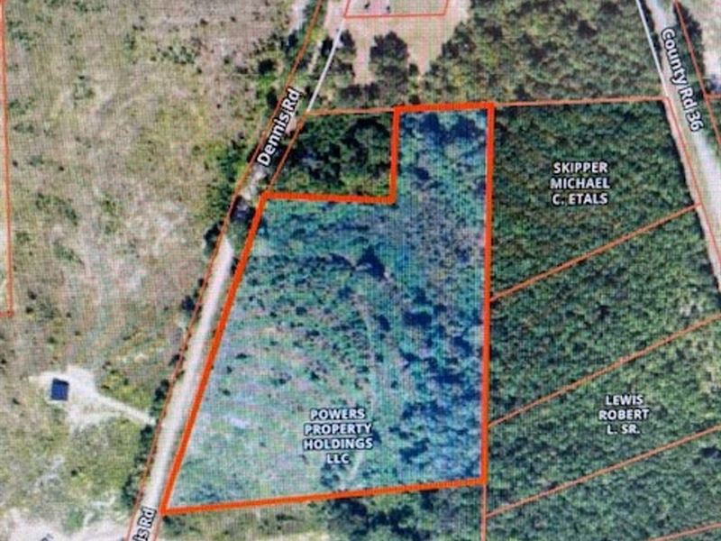 10.50 Acres on Dennis Road : Eufaula : Barbour County : Alabama