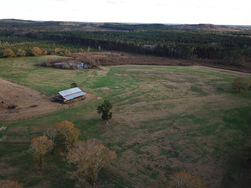 homes for sale in walker county al