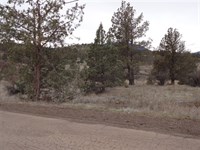 Rural Forested Lot in Siskiyou : Hornbrook : Siskiyou County : California
