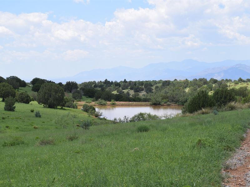 Steamboat Canyon Ranch : Silver City : Grant County : New Mexico