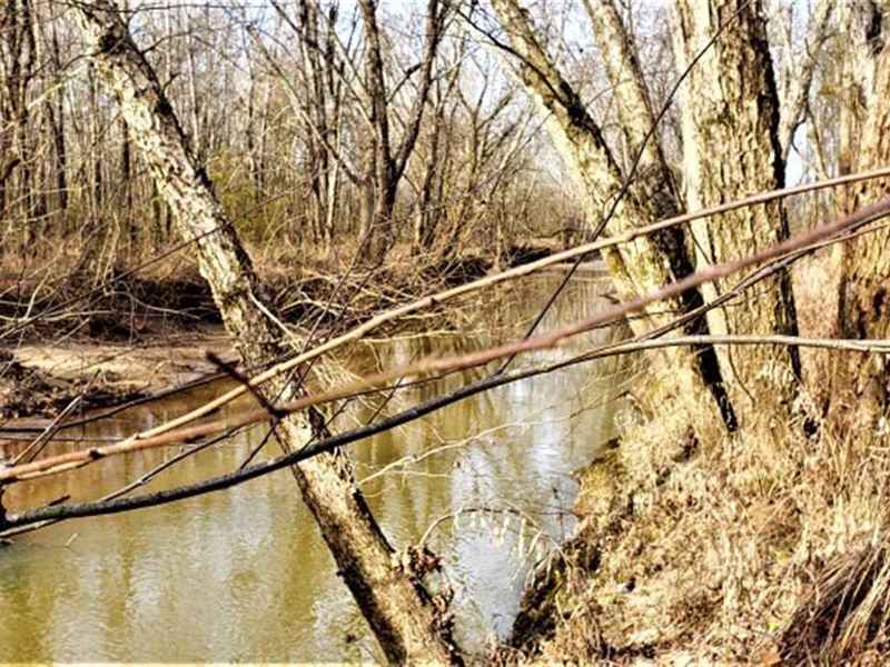 162 Acres TN River Shiloh Bottoms : Counce : Hardin County : Tennessee