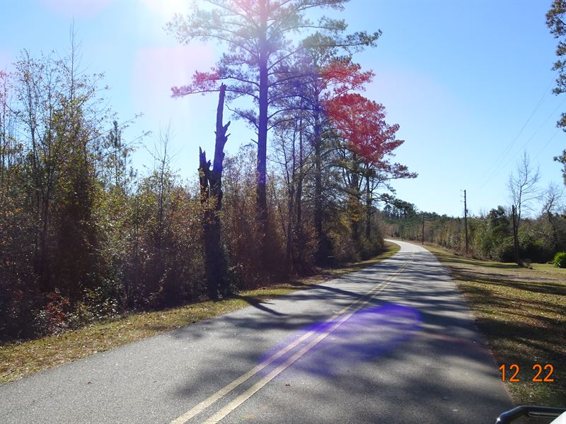 Brannan Road Tract 1 : Toomsboro : Wilkinson County : Georgia
