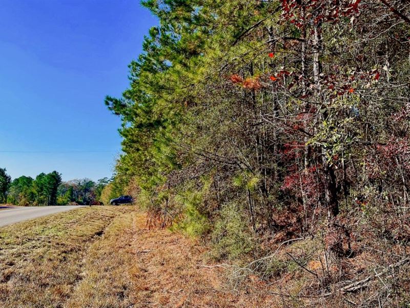 Paved Rd 5.5 Ac Amite, City Water : Arcola : Saint Helena Parish : Louisiana