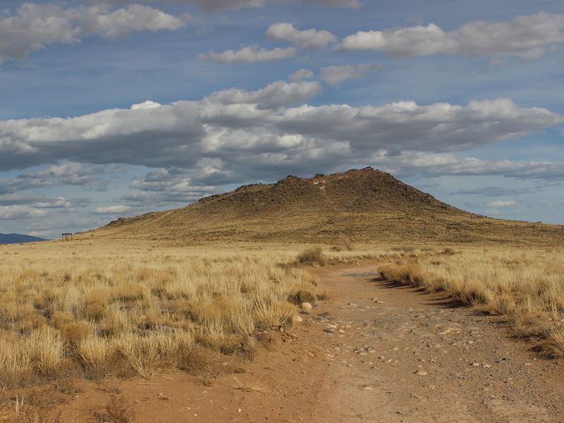Wholesale Property Luna New Mexico : Deming : Luna County : New Mexico