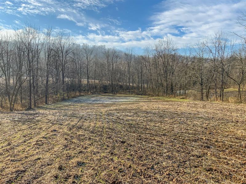 Rural Dale Rd, 47 Acres, Muskingu : Chandlersville : Muskingum County : Ohio