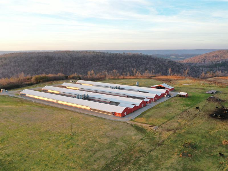 Parker Farm : Albertville : Marshall County : Alabama