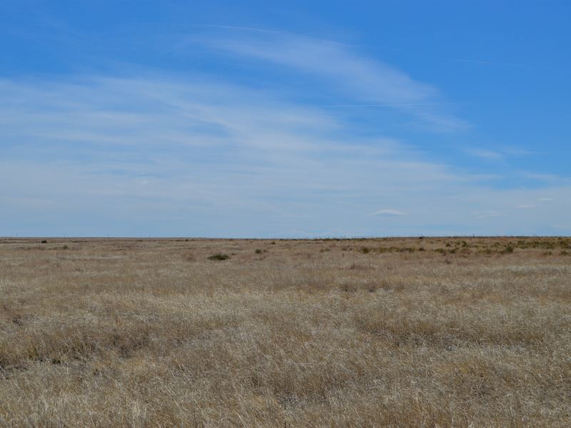 320 Acre Farm for Sale : Eads : Kiowa County : Colorado