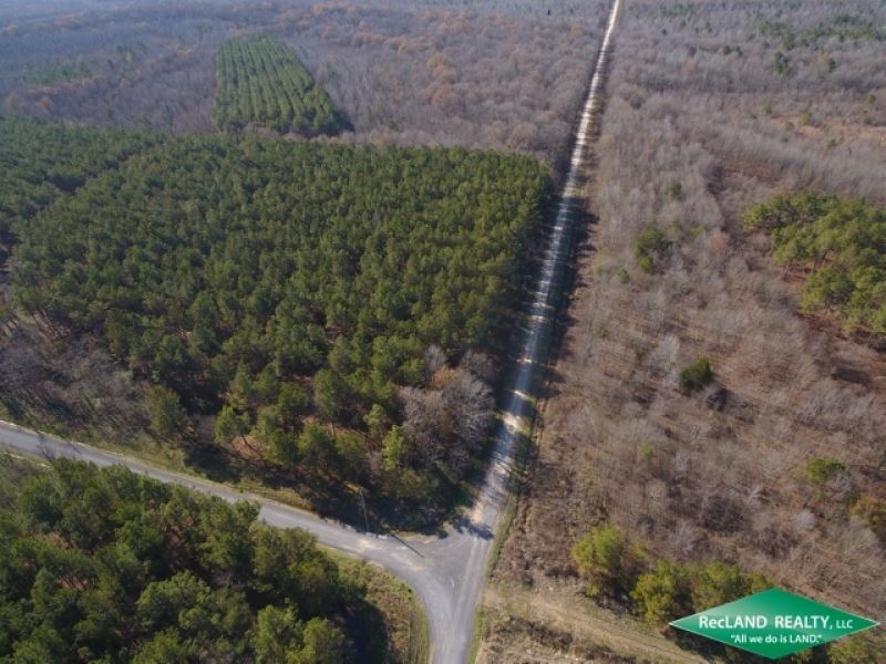 120 Ac, Crp, Hunting, Home Site Po : Oak Grove : West Carroll Parish : Louisiana