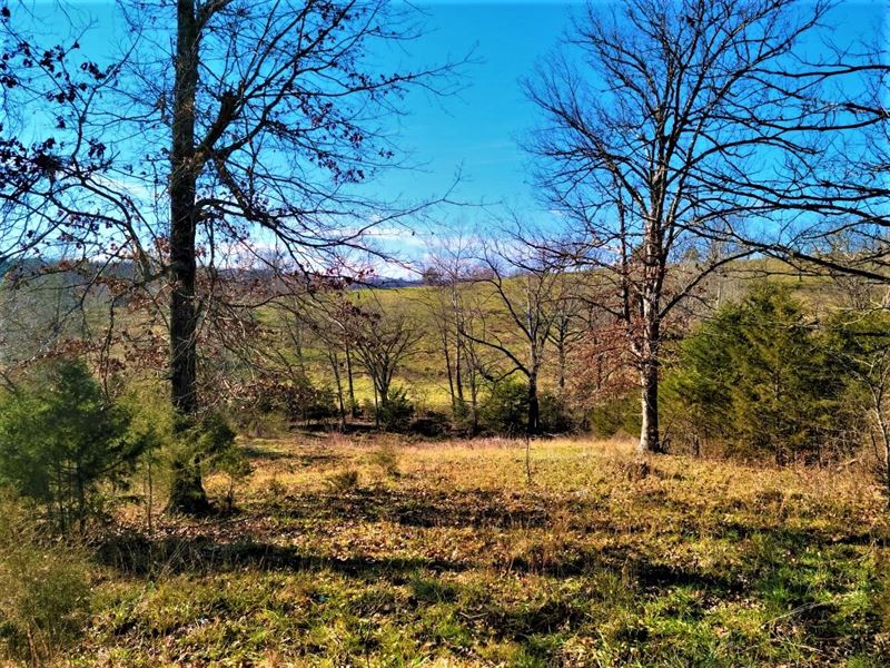 Farm & Ranch Hunting Land Ozark : Gainesville : Ozark County : Missouri