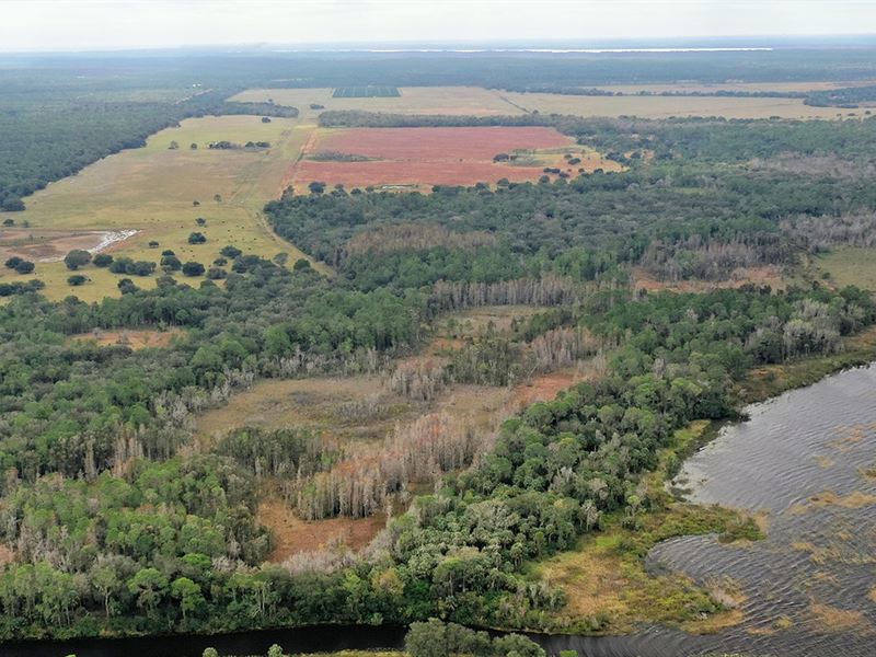 Langes Walk in The Water Ranch : Frostproof : Polk County : Florida