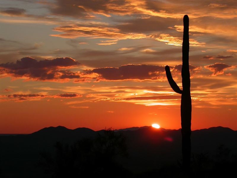 Apache Arizona Wholesale Deal : Holbrook : Apache County : Arizona