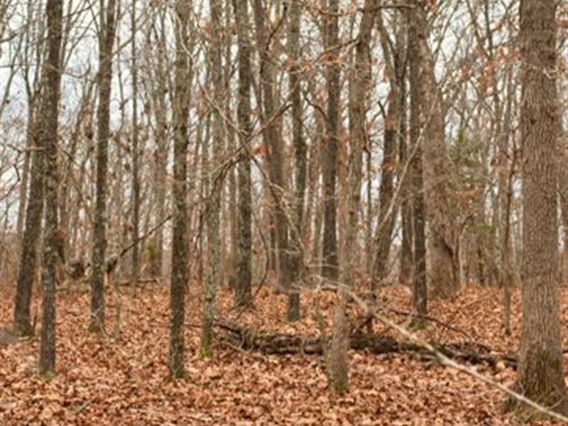 9.3Ac Land Lake of The Ozarks : Buffalo Township : Morgan County : Missouri