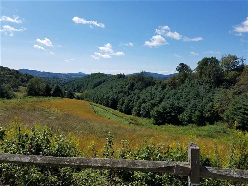 50 Acres in Grassy Creek, Ashe Land for Sale in Grassy Creek, Ashe
