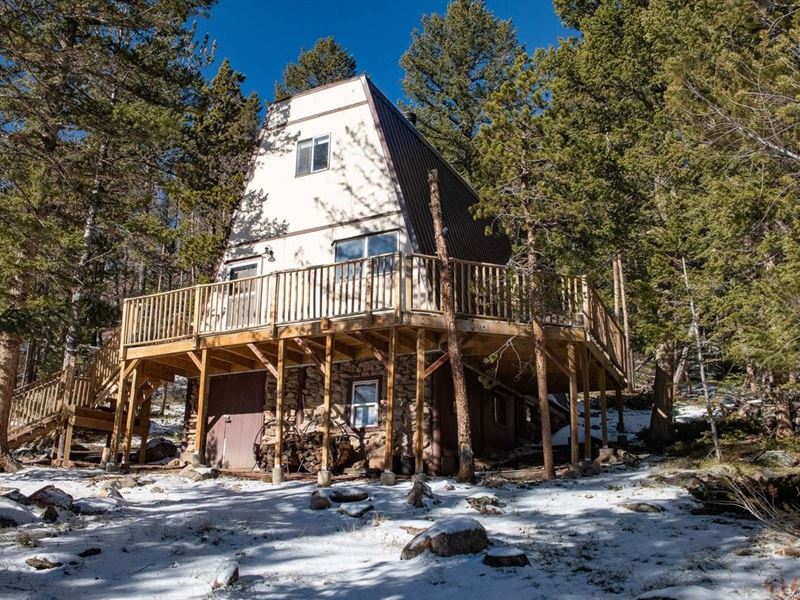 Adorable Cabin Views Mummy Range : Red Feather Lakes : Larimer County : Colorado